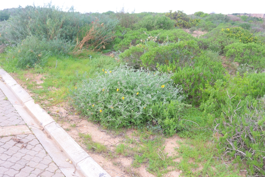 0 Bedroom Property for Sale in Steenbergs Cove Western Cape